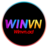 winvnad