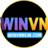 winvnnewcom